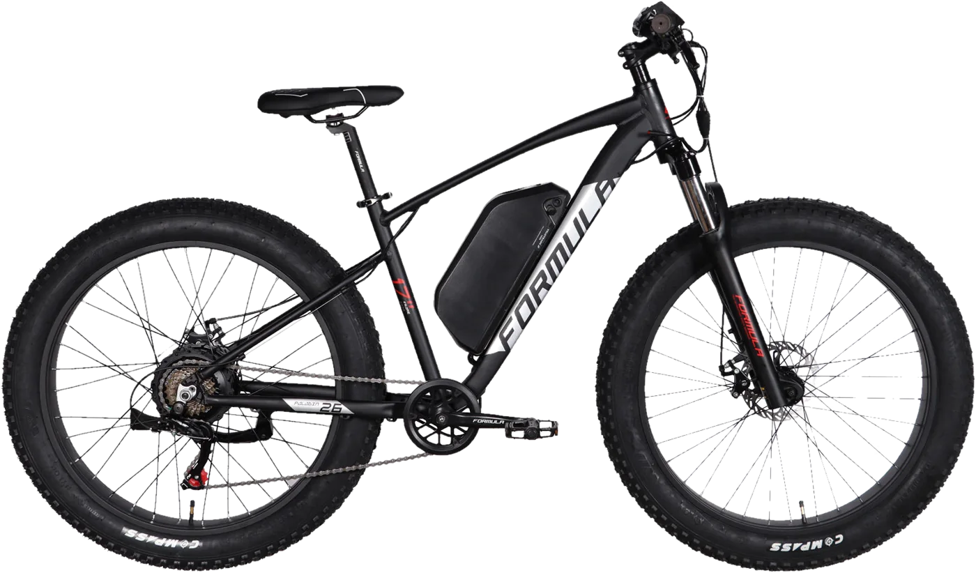 Електричний фетбайк Formula ePALADIN 26″